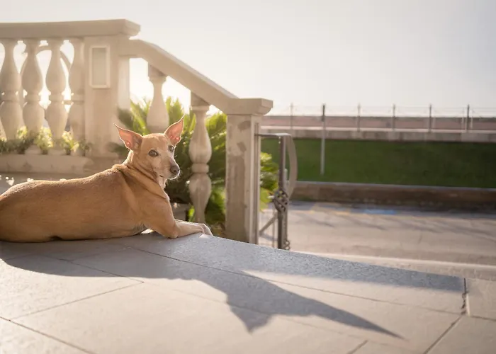 Le Lampare 3* Caorle